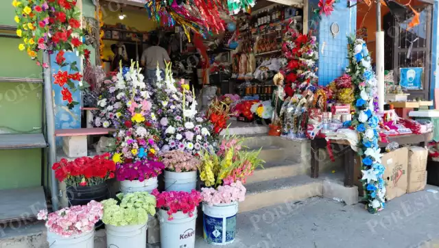Comerciantes de Hopelchén reportan excelentes ventas de flor de nochebuena durante la primera semana de diciembre.