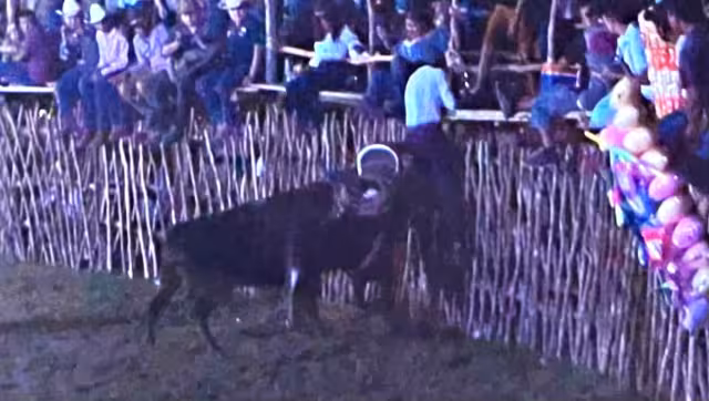 Anteriormente, un toro murió desnucado en la feria de Sinanché