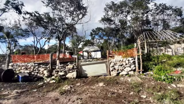 Son alrededor de 450 familias que llegaron a estos predios propiedad del Ejido Playa del Carmen para crear las colonias Alfa y Omega, y San Judas Tadeo.