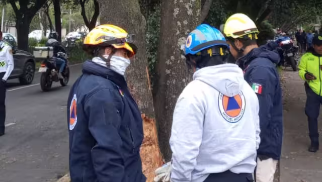 Los lesionados fueron reportados como estables