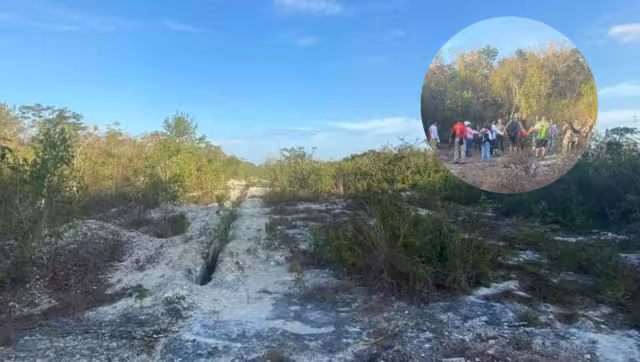 La búsqueda se concentrará en el área de las colonias del Centro de la Isla de las Golondrinas