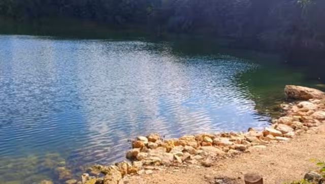 El proyecto revela la vulnerabilidad de las especies en su hábitat, como tlacuaches y reptiles que juegan un papel esencial.
