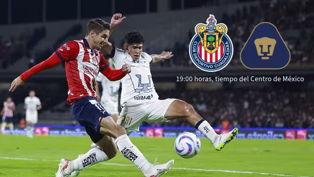 Los felinos todavía no ganan de visita