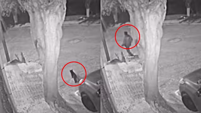 El video circula en redes sociales como TikTok