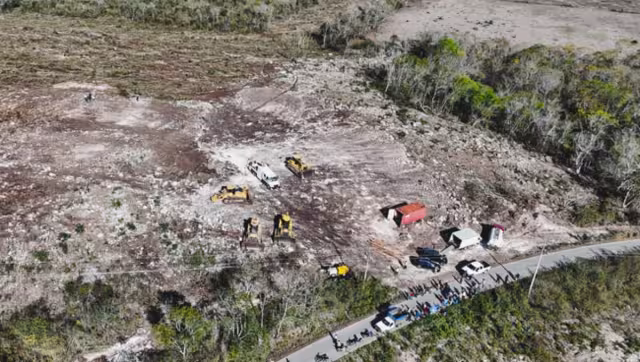 Profepa clausura predio en Tekax por desmonte ilegal de vegetación.