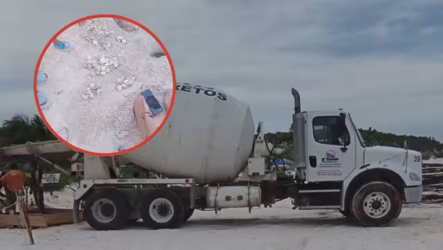 No se tiene registro de cuantos huevos se perdieron