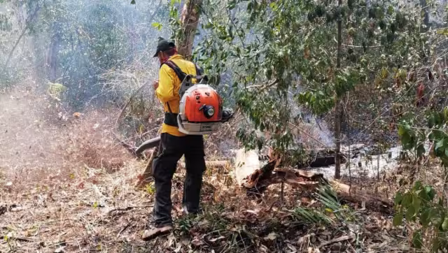Candelaria y Champotón presentan mayor riesgo de incendios en Campeche