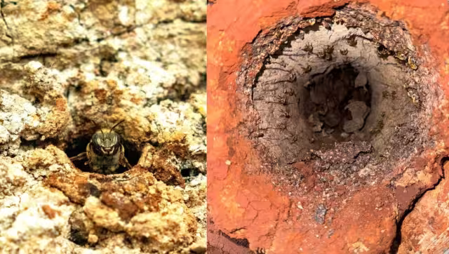 Los costos serán elevados por la situación