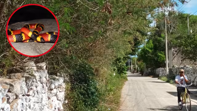 Con la llegada de la temporada de sequía, habitantes del rumbo temen se produzca un incendio en el terreno