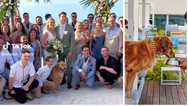 Murph es famosos en redes sociales