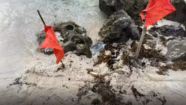 La presunta droga fue hallada en la arena