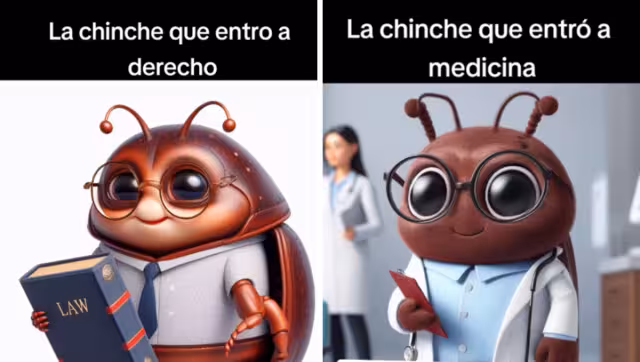 Lo divertido es ver como salen las chinches de la UNAM