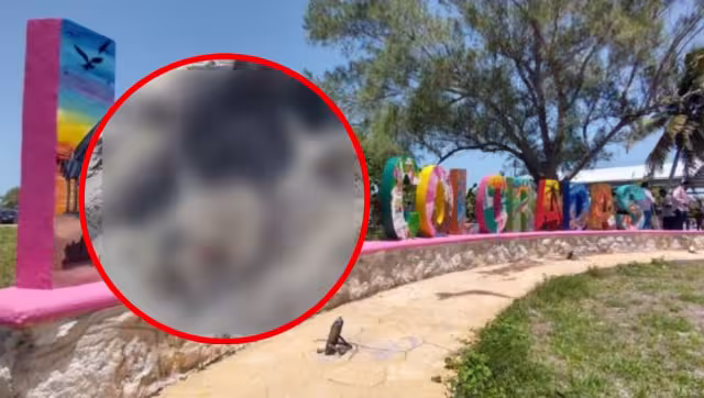 Las Coloradas exige acción inmediata tras muerte de dos perros por presunta agresión
