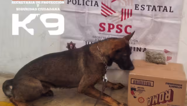 Aseguran policías sustancias ilícitas