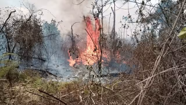 El incendio forestal de Chun Ek fue detectado desde el pasado 15 de abril