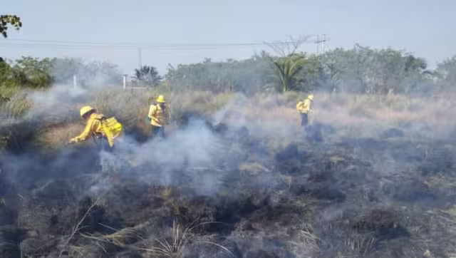 Los brigadistas llegaron con bombas de agua para sofocar el incendio