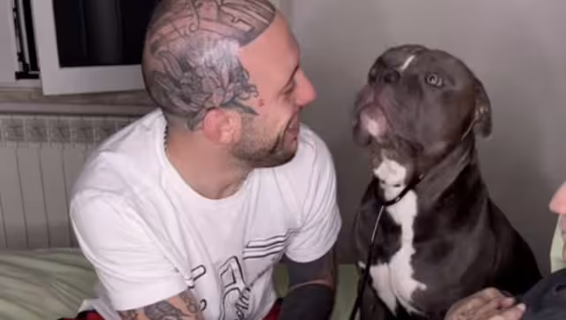 El perro pudo escuchar el corazón del bebé gracias a un estetoscopio