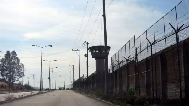 Los sentenciados fueron detenidos en enero de 2017