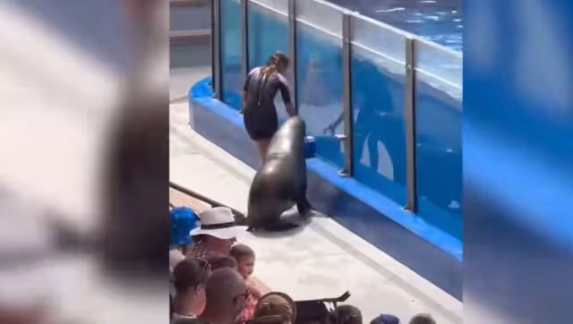 La entrenadora afortunadamente la libró. Foto: Especial