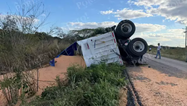 Volcó un remolque de tráiler con casi 40 toneladas de maíz en Hopelchén.