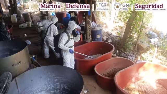 Estas operaciones representan un golpe económico estimado en más de 309 millones de pesos para organizaciones criminales