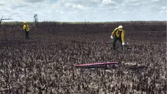 Hasta el momento, ninguna autoridad ha informado ni la causa del fuego ni el área de selva afectada