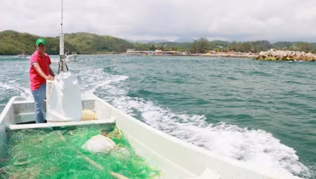 La zona es conocida como Punta del Tigre y se ubica en una de las dos bocas de conexión de la Laguna de Términos