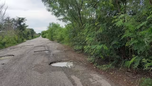 El problema no sólo son los baches, sino también la maleza que crece a la orilla de la carretera