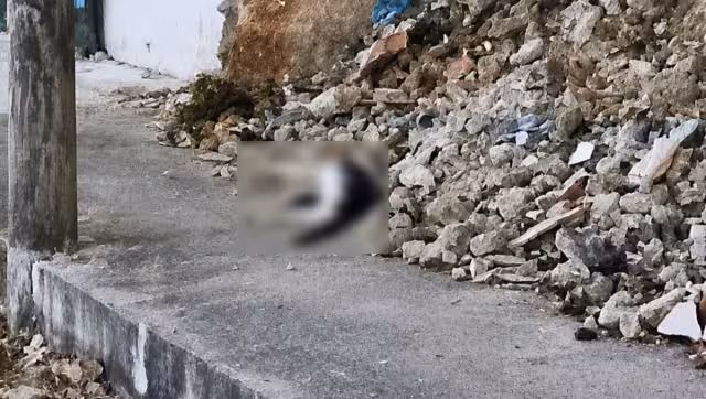 Investigan muerte de mascotas en el Sur de Mérida