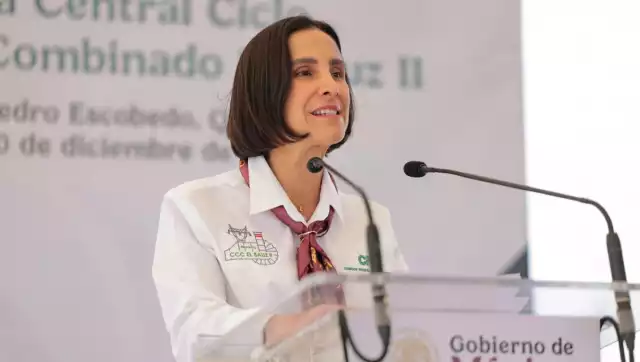 Luz Elena González, secretaria de Energía