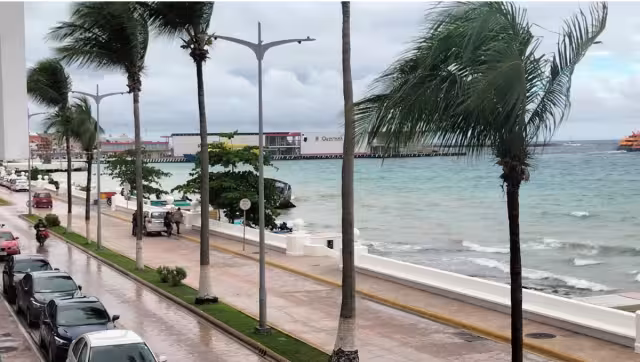 Todo esto derivado de los fuertes vientos y elevado oleaje en el muelle de Playa del Carmen