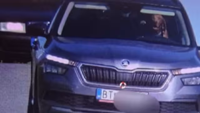 El perro atrás del volante. Foto:Espacio