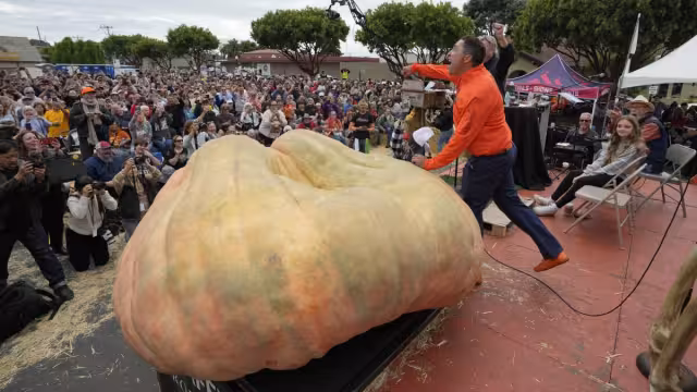 El ganador lleva más de 30 años cultivando calabazas
