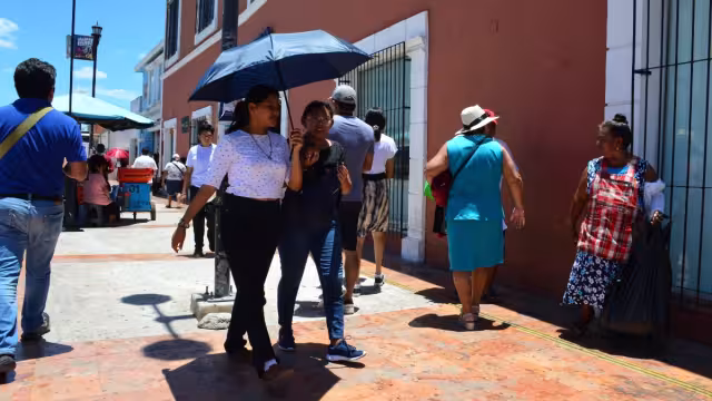 Respecto a la Península de Yucatán, Campeche es el estado con el menor porcentaje