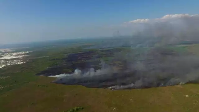 Carmen tiene el mayor número de incidencias con 79 registros