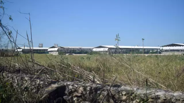 Un total de 300 granjas no aparecen en los registros de la Secretaría de Medio Ambiente