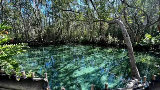 En los primeros meses del año en curso han acudido al sitio un total de 57 mil 883 personas