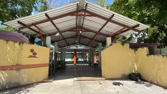 La pérdida fueron superior a los 50 mil pesos