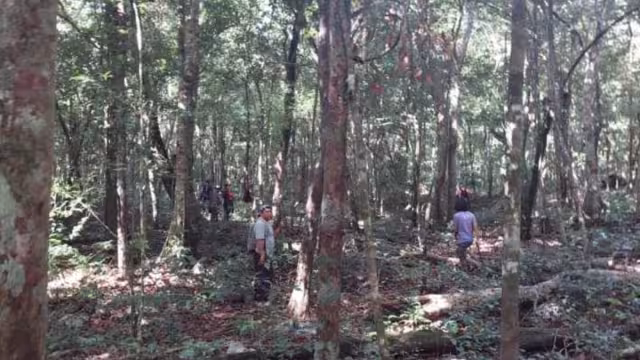 Los familiares reportaron la desaparición cuatro cuatro días después