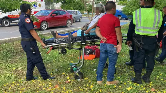 El conductor dijo que frenó, pero le fallaron los frenos y pidió una disculpa a la adulta mayor