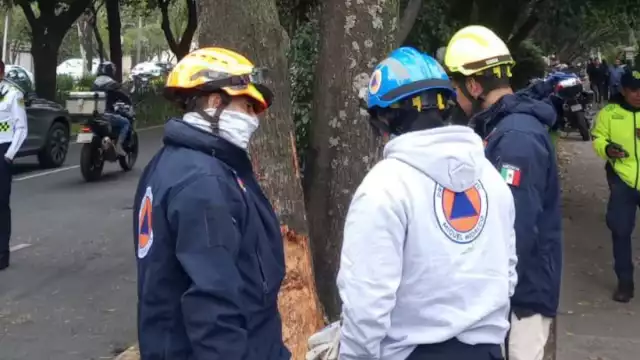 Los lesionados fueron reportados como estables