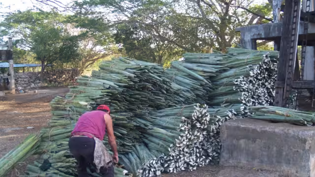 Aseguró que han existido casos en donde sus colegas no ven las ganancias hasta luego de cuatro meses