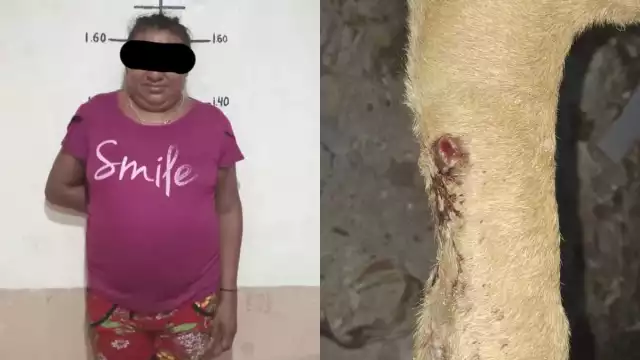 La Fany fue puesta en libertad durante la noche del domingo