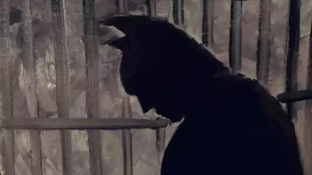 Estos jóvenes fueron arrestados el 4 de julio de 2022. Foto: Especial