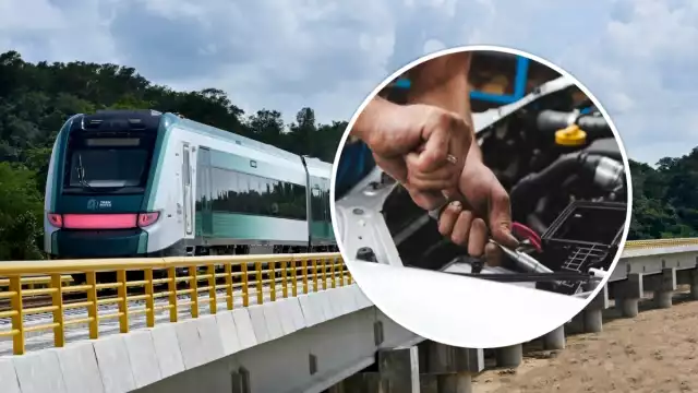 Los curriculums podrán enviarse hasta el primero de diciembre