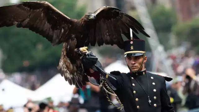 Desfile Militar 2023