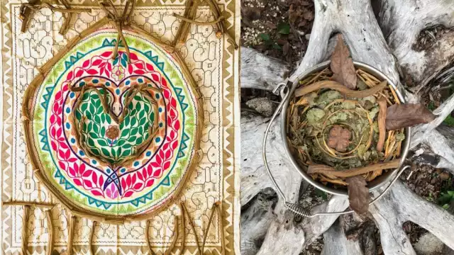Timadores se esconden detrás de los “rituales” de Ayahuasca