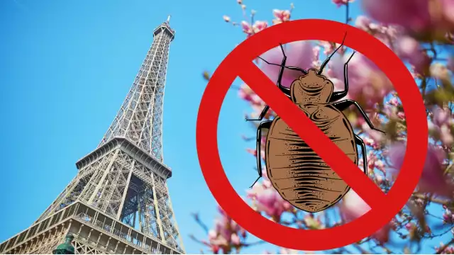 París está también afectado por la plaga. Foto: Especial