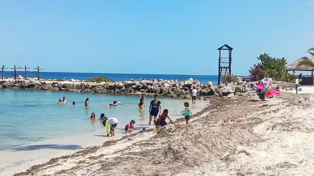 Este rubro ha logrado un incremento de hasta el 25%