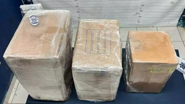 Fueron decomisados en una empesa de mensajería y paquetería